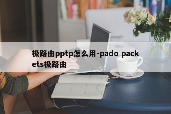 极路由pptp怎么用-pado packets极路由