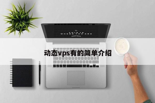 动态vps有的简单介绍