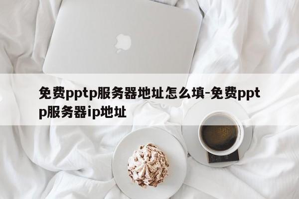 免费pptp服务器地址怎么填-免费pptp服务器ip地址