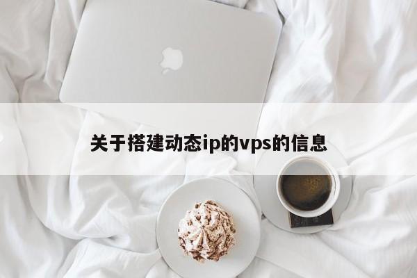 关于搭建动态ip的vps的信息