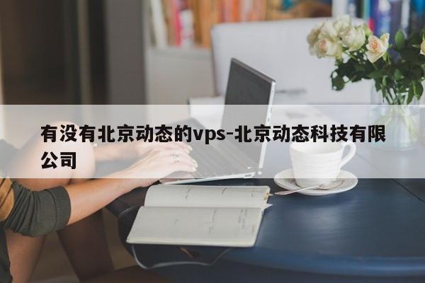 有没有北京动态的vps-北京动态科技有限公司