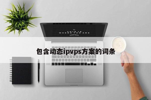 包含动态ipvps方案的词条