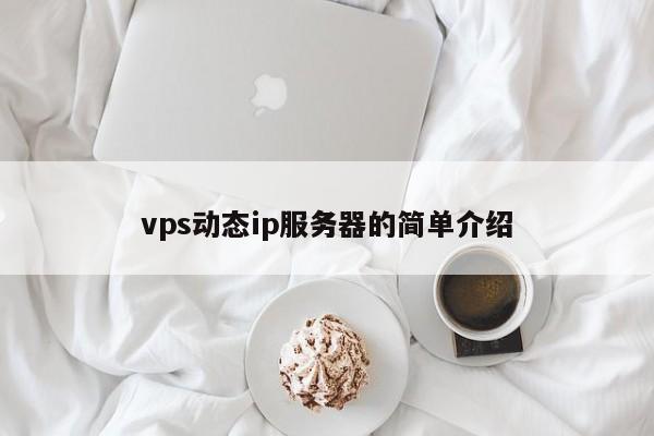 vps动态ip服务器的简单介绍