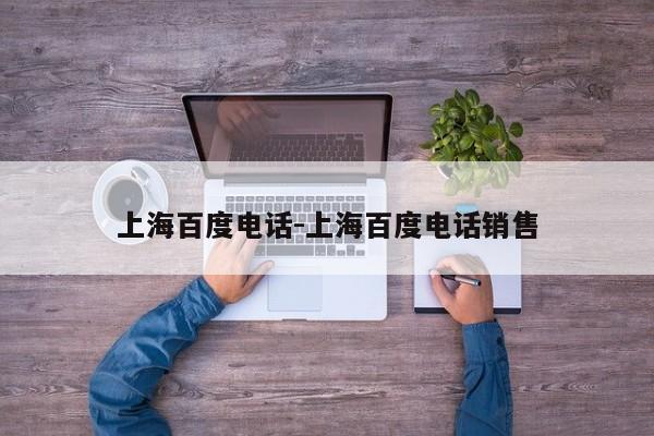 上海百度电话-上海百度电话销售