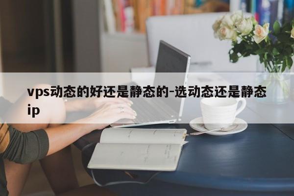 vps动态的好还是静态的-选动态还是静态ip
