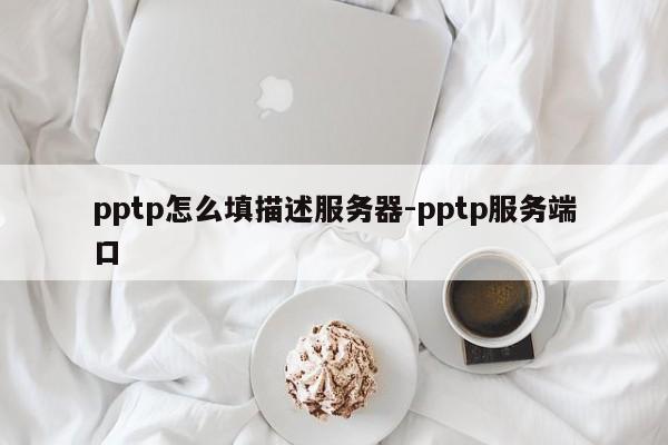 pptp怎么填描述服务器-pptp服务端口