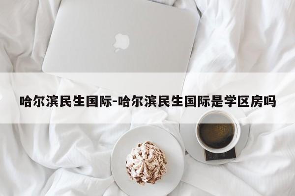 哈尔滨民生国际-哈尔滨民生国际是学区房吗