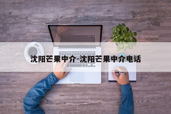 沈阳芒果中介-沈阳芒果中介电话