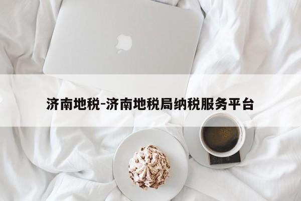 济南地税-济南地税局纳税服务平台