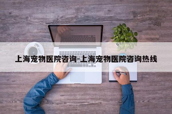 上海宠物医院咨询-上海宠物医院咨询热线