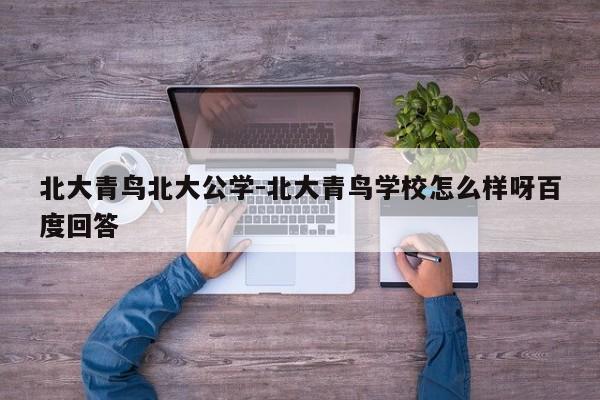 北大青鸟北大公学-北大青鸟学校怎么样呀百度回答