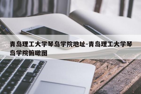 青岛理工大学琴岛学院地址-青岛理工大学琴岛学院俯瞰图