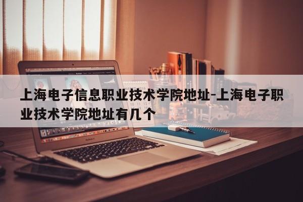 上海电子信息职业技术学院地址-上海电子职业技术学院地址有几个